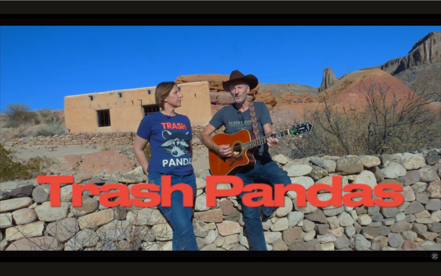 Trash Pandas